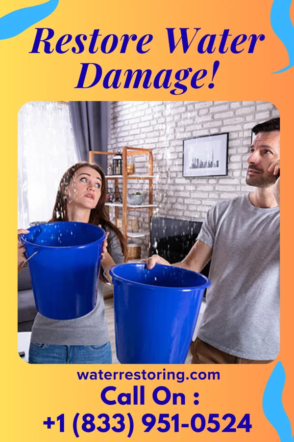 water restoration National Cleanup Company East Patchogue