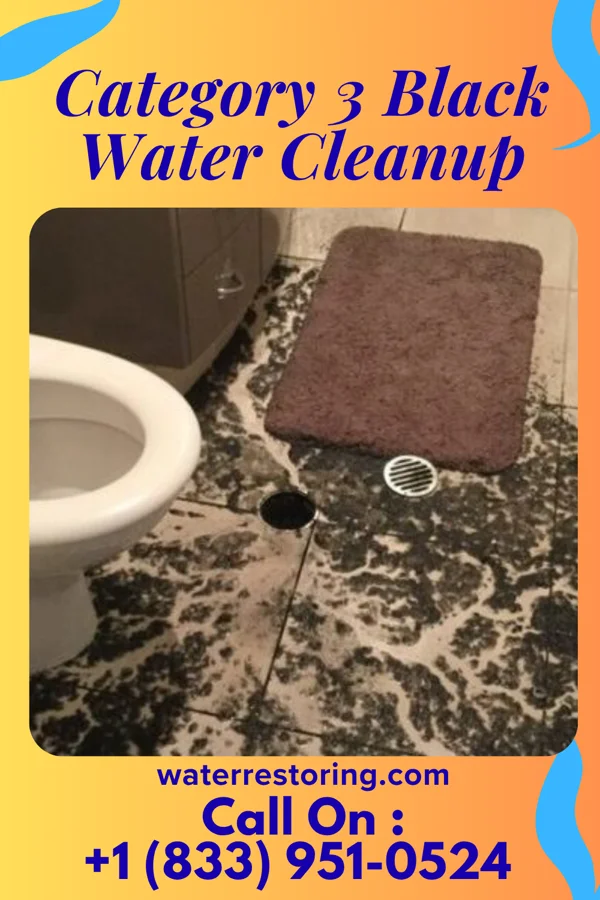 Category 3 Black Water Cleanup in East Patchogue, NY