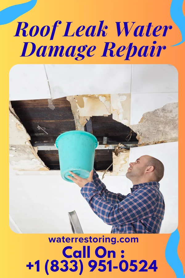 Roof Leak Water Damage Repair in East Patchogue, NY