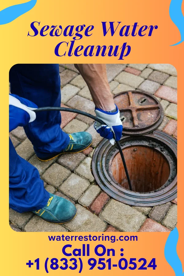 Sewage Water Cleanup in East Patchogue, NY