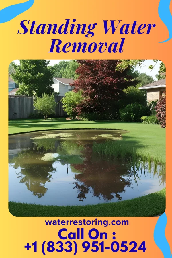 Standing Water Removal in East Patchogue, NY